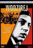 Powiększ