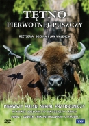 Powiększ