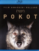 Powiększ