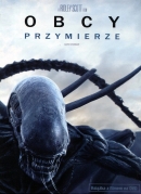 Powiększ