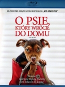 Powiększ